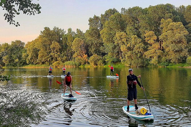 Drava Sup Exploring Adventure - What to watch for: birds, fish, and dragonflies from your paddle
