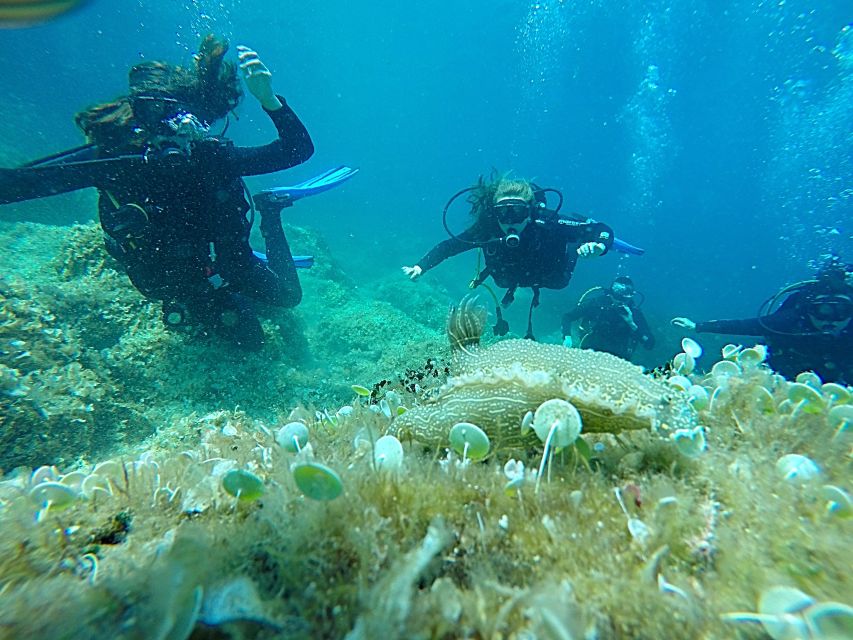 Dubrovnik: 1-Day Discover Scuba Diving Course - A full day that really teaches the basics