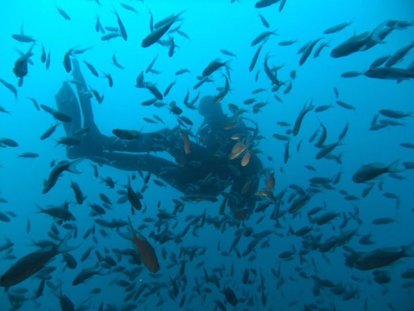 Dubrovnik: 1-Day Diving Package - Entering the underwater plan: caves, walls, wrecks, and a lake
