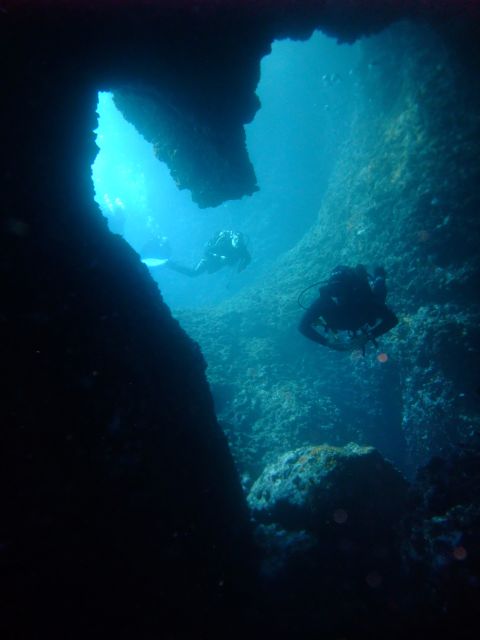 Dubrovnik: 1-Day Diving Package - Who should book this and who might want a different plan