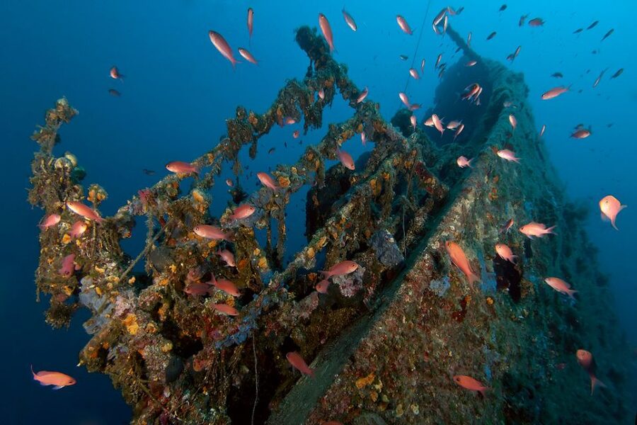 Dubrovnik: 1-Day Diving Package - Two underwater sessions in one day, with real recovery time