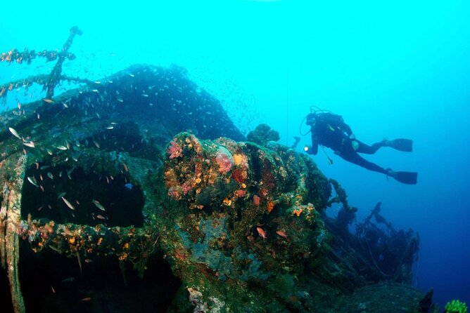 Dubrovnik 1 Dive for Certified Divers - The 2.5-hour schedule: gear up, briefing, and about 45 minutes underwater
