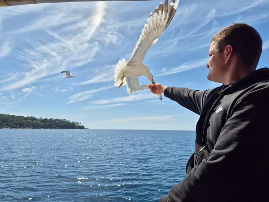 Dubrovnik: 3 Island Boat Tour with Lunch and Guide - The boat cruise experience: comfortable, lively, and built for a full day
