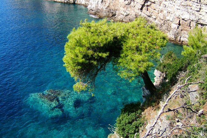 Dubrovnik: 3 Islands Boat Tour with Lunch & drinks(FR, ES, EN) - Crew personalities and the difference they make