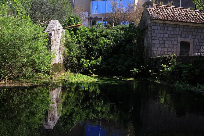 Dubrovnik: Best views Sightseeing Tour - Cable Car Versus This Tour: Choosing the Right Way Up