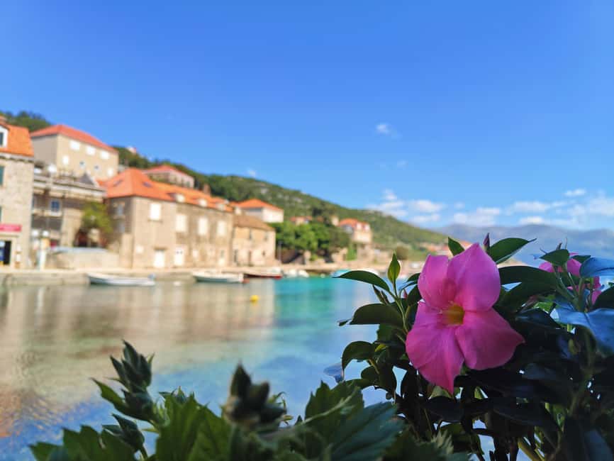 Dubrovnik: Blue Cave & Elaphiti Islands Full-Day Boat Tour - Onboard comfort and what $64 buys you in real terms