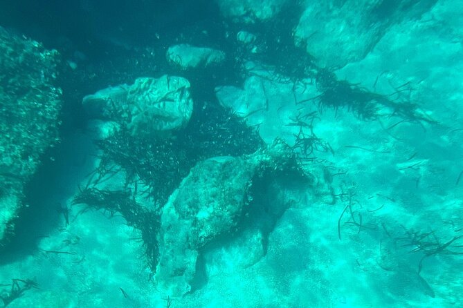 Dubrovnik: Blue Cave & Elaphiti islands & Optional Lunch Onboard - Meeting Point, Group Size, and What the 6.5 Hours Feels Like