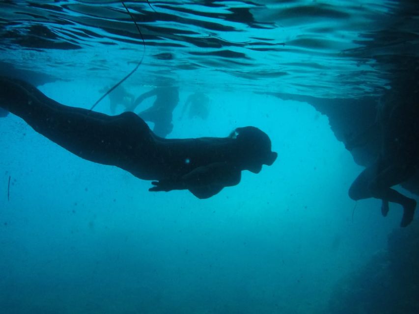 Dubrovnik: Blue Cave & Sunj Beach Boat Tour with Drinks - Koločep and the Blue Cave: Where the Water Turns Magical