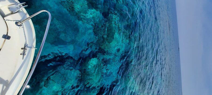 Dubrovnik: Blue Cave Tour by Speedboat - Dubrovnik Island Caves in 4 Hours, What the Timing Feels Like