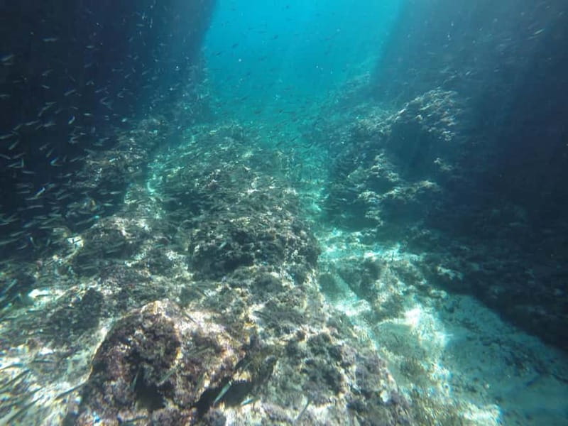 Dubrovnik: Blue Cave Tour by Speedboat with Small Group - Stop 2: Three Green Caves on Koločep, more snorkeling and more color