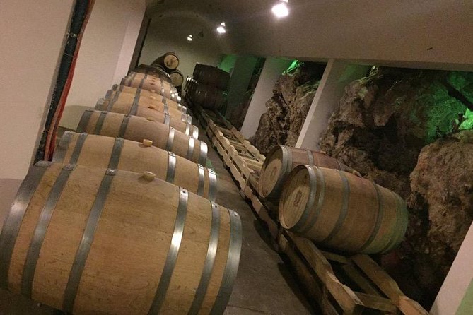 Dubrovnik Bosnia-Herzegovina Half-Day Wine Tour with Tastings - The pickup and ride: comfort, timing, and what to expect