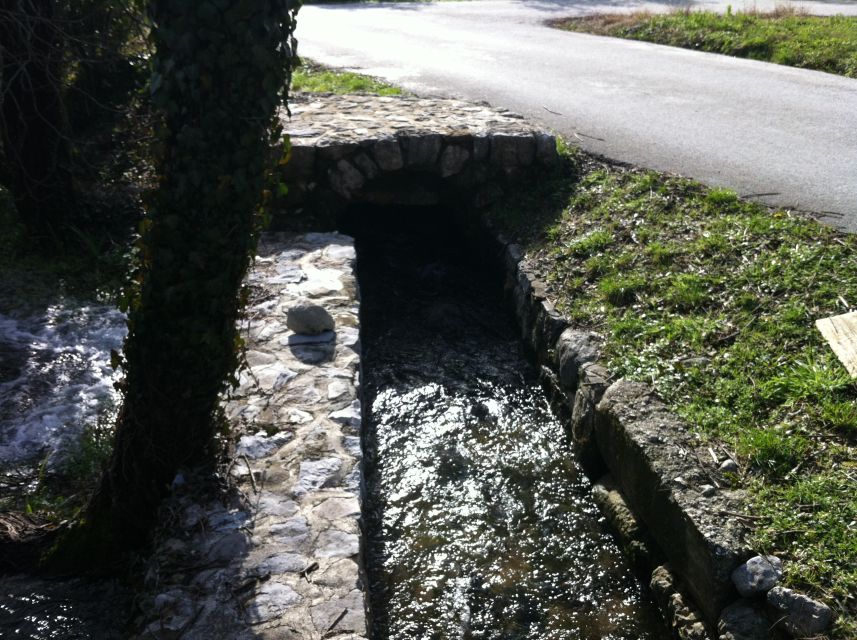 Dubrovnik: Cavtat and Konavle Half-Day Private Tour - Potential Snags to Keep in Mind (So the Day Goes Smoothly)