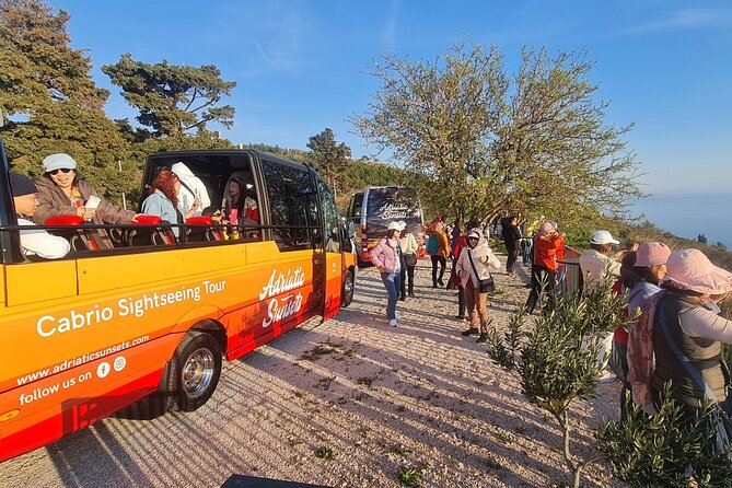 Dubrovnik: Convertible Minibus Panorama Tour with Audio Guide - Price and Value for Money You Can Feel