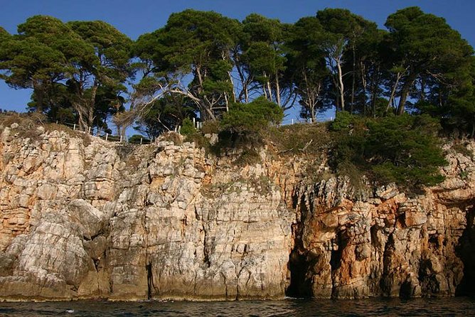 Dubrovnik Elafiti Islands Cruise with Lunch, Drinks and Pickup - Sipan and Suđurađ: Village Time and Scenic Waterfront Stops