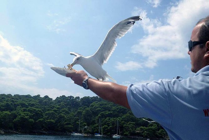 Dubrovnik Elafiti Islands Cruise with Lunch, Drinks and Pickup - Lunch, Unlimited Drinks, and the Real Value of Eating Onboard