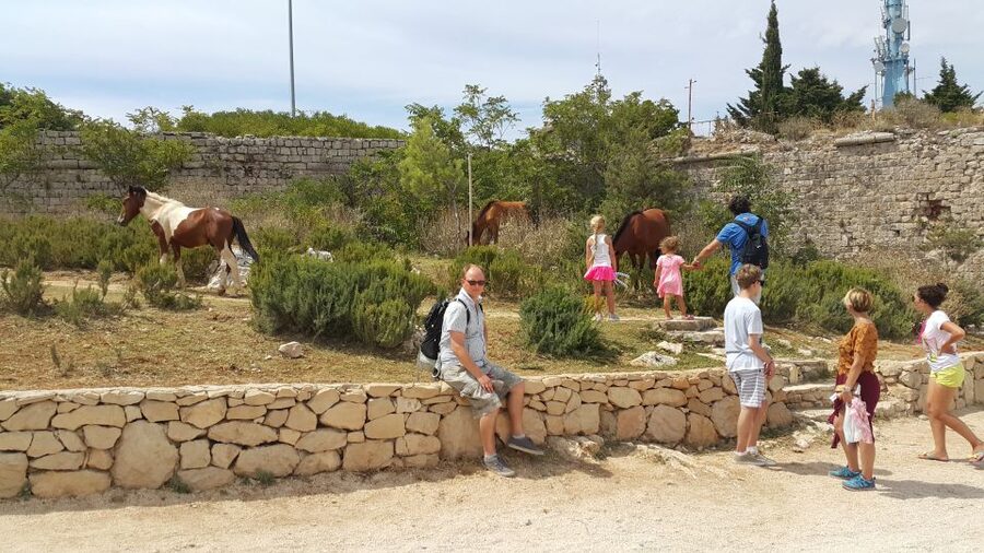 Dubrovnik: Game of Thrones Locations Driving Tour - Getting Picked Up in Dubrovnik, Pile Gate or Port Gruz