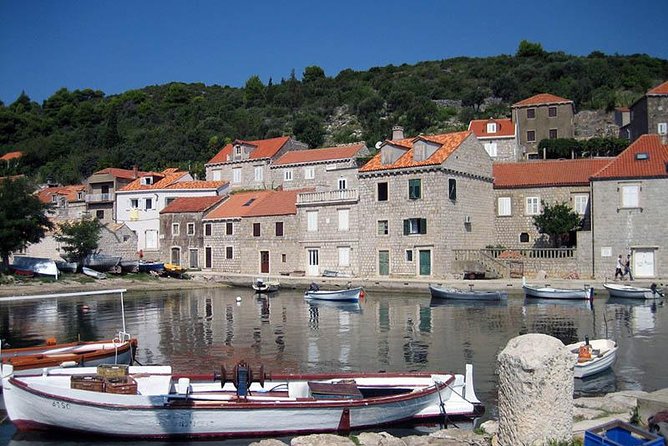 Dubrovnik Islands Boat Tour with Lunch and Unlimited Drinks - The all-day lunch: grilled hake, chicken, or vegetarian salads