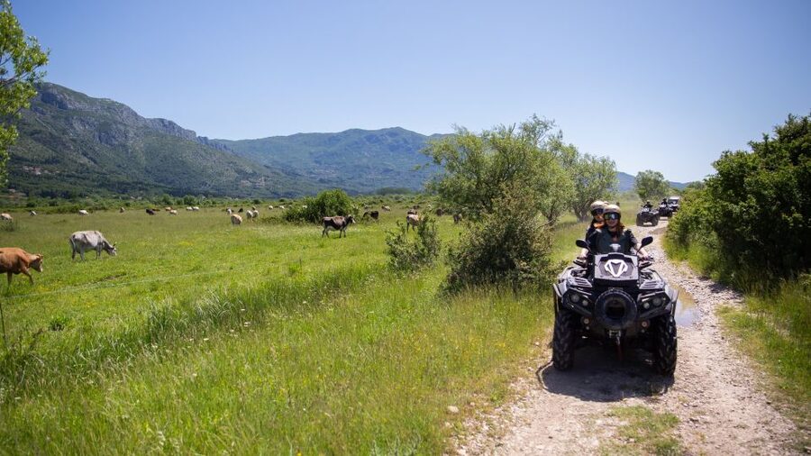 Dubrovnik: Kojan Koral ATV Quad Safari with transport - Čilipi stop: a village break that resets your legs