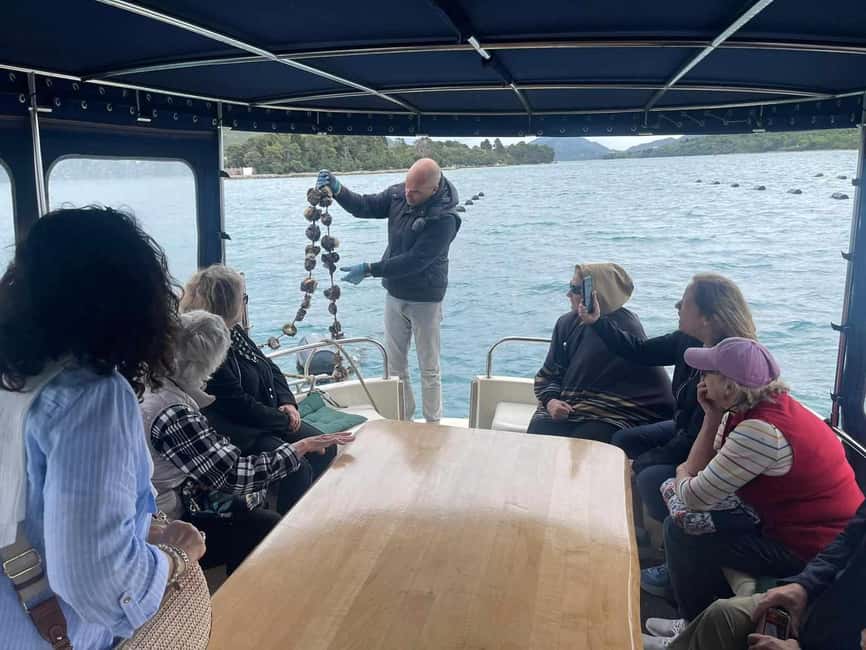 Dubrovnik: Oyster, Mussles, and Wine Tasting Tour in Ston - Pelješac Wine Tastings: How to Get More Than Just Sipping