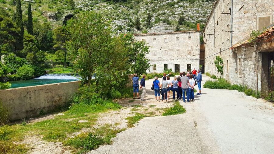Dubrovnik: Private Cooking Experience with Wine Tasting - Peljesac wine tasting at a famous winery