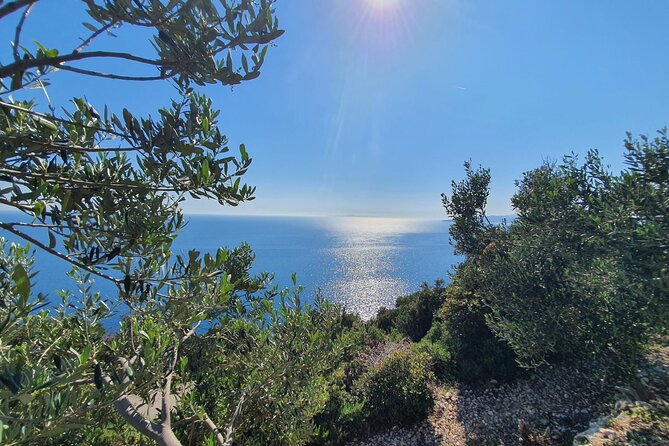 Dubrovnik Private Wine Tasting Tour to Peljesac Peninsula - Picking your start time and getting smooth pickup