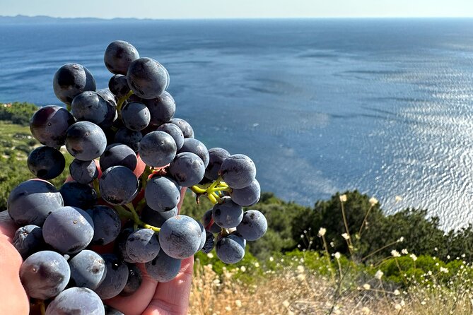 Dubrovnik Private Wine Tasting Tour to Peljesac Peninsula - Walls of Ston: medieval stone walls, salt, and seafood cravings
