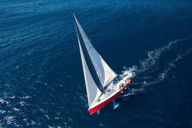 Dubrovnik Sailing - Private Full Day Tour - The Elaphiti Islands stop: what you are actually paying for