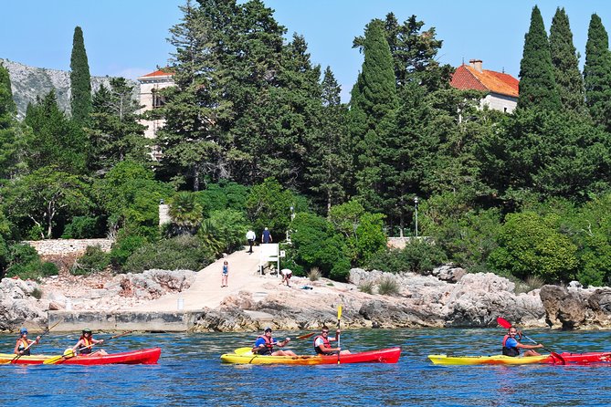 Dubrovnik: Sea Kayaking & Snorkeling Tour - Who should book this kayak and snorkel tour in Dubrovnik