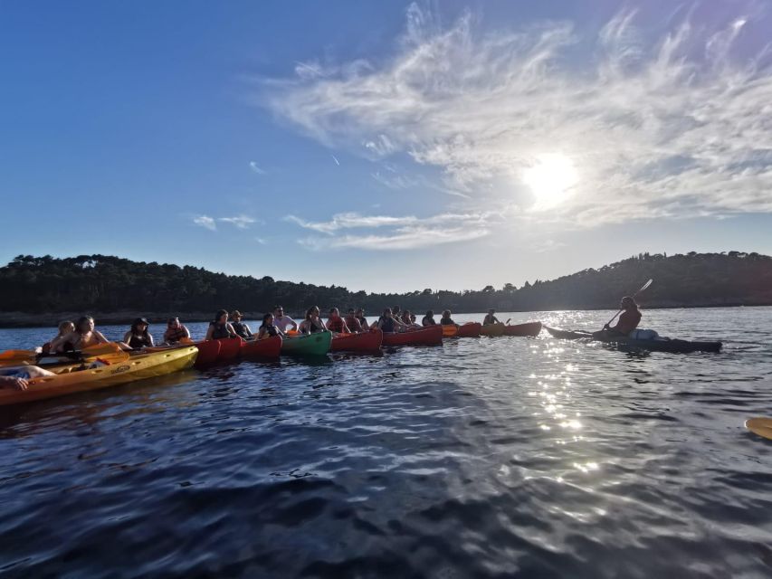 Dubrovnik: Sea Kayaking Tour - Lokrum from your kayak, without the island stop
