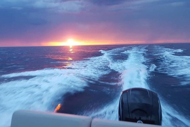 Dubrovnik Speedboat Quicksilver 675 Private Tours - Koločep Island and the Blue Cave: short stop, big payoff