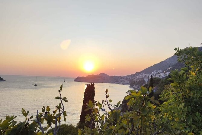 Dubrovnik Sunset Tour with Scenic Views and Local Wine - Franjo Tuđman Bridge and Ombla River: Modern Views, Real Context