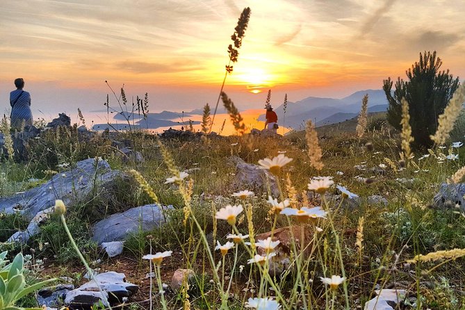 Dubrovnik Sunset Tour with Wine Tasting - How This Dubrovnik Sunset Tour Works, Pickup, Timing, and Group Size