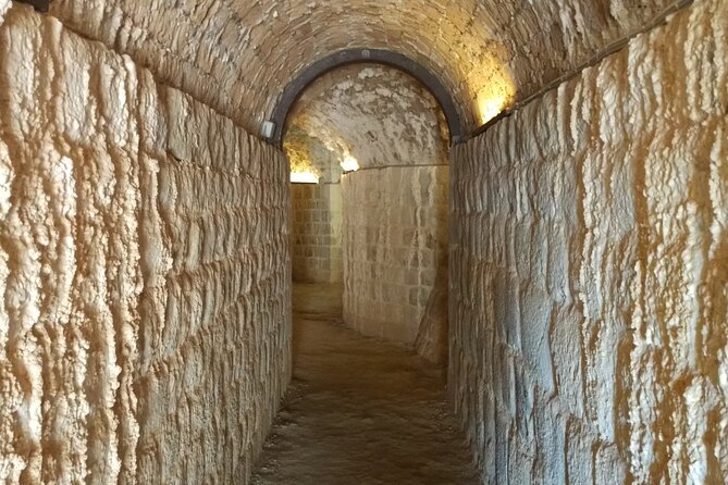 Dubrovnik Walls: Secret Tunnels of Minčeta Tower & Fort Bokar - Timing, Meeting Points, and the Real Walking Part