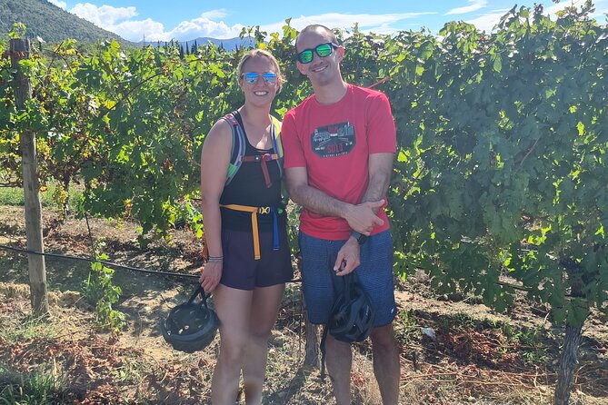 E-Bike Tour + Gourmet Lunch + Wine Tasting (Small Group) - Price, duration, and what you actually get for $226.88