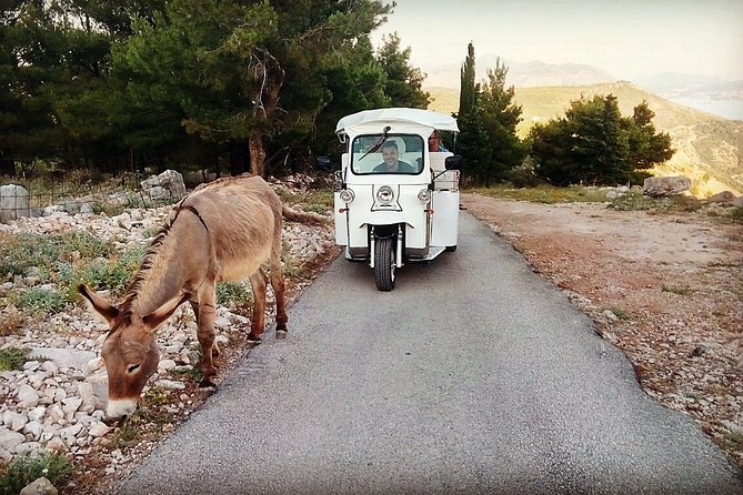 E-Tuk Tuk Tour in Dubrovnik - Pickup to drop-off: how the ride day actually starts
