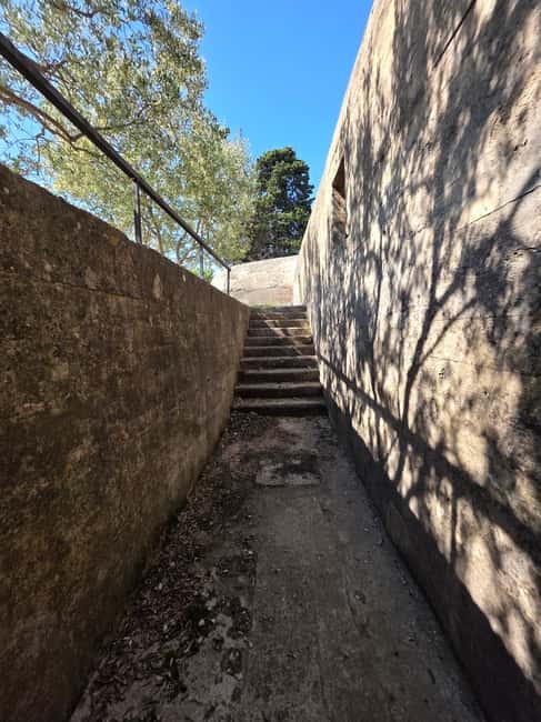 Eco tuk tuk Highlights of Zadar - Bedemi zadarskih pobuna and short stops that still feel meaningful