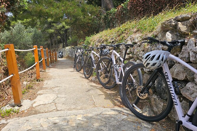Elafiti Islands Sea kayaking: Full-Day Bike and Kayak tour on Lopud and Šipan - Bike Ride Across Sipan: Hills, Olive Trees, and Church Views