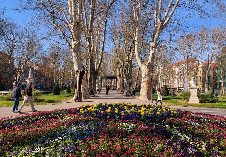 Exclusive old Zagreb walking tour - Dolac and Opatovina: the open-air market break that feels like real Zagreb