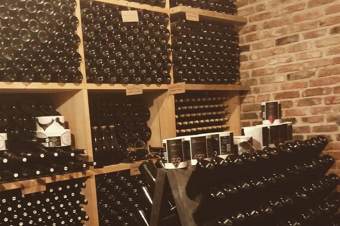 Fairytale Castle & Wine Tasting & Lunch - Time on the ground: what the 8 hours really means