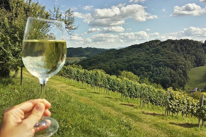 Fairytale Castle & Wine Tasting & Lunch - Who should book this castle and wine day?