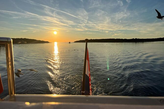 Fantastic DOLPHIN & SUNSET TOUR with dinner ( Pula-NP BRIJUNI ) - Dino Park on Veliki Brijun, dinosaur replicas with a science hook