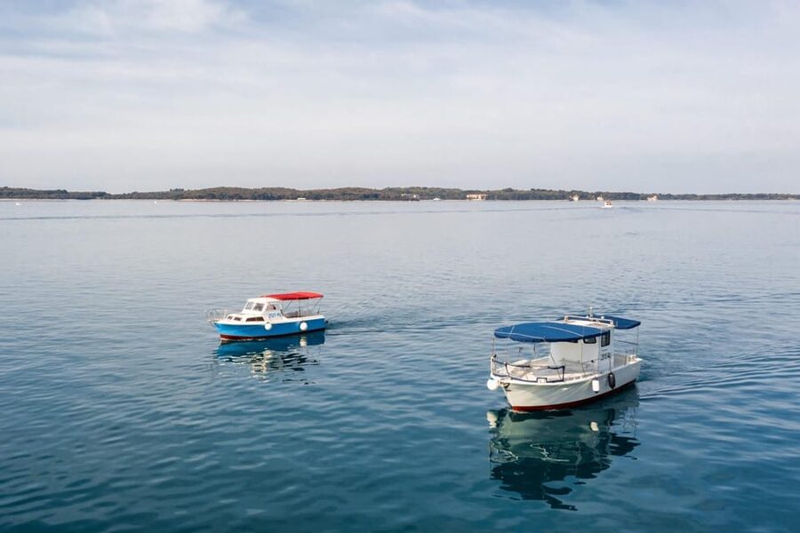 FAŽANA: Brijuni boat trip+stop & Swim at St. Jerolim Island - Key points before you go
