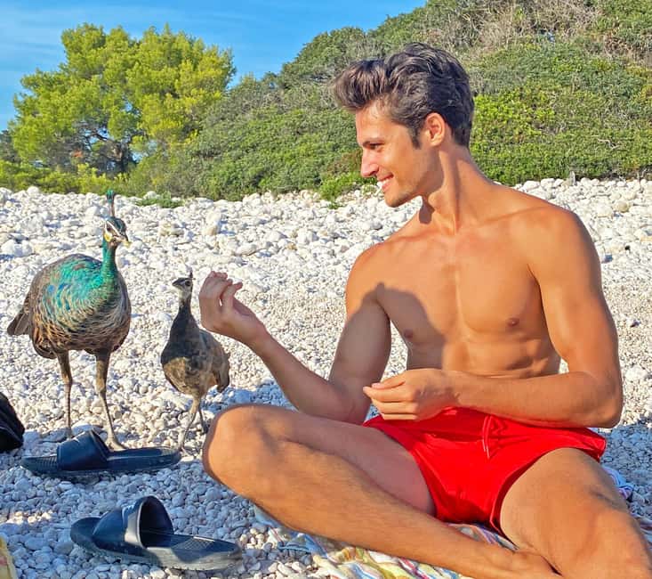 Fažana: Brijuni Islands & Peacock Visit with Optional Lunch - Sv. Jerolim, aka Peacock Island: swimming, snorkeling, and beach time