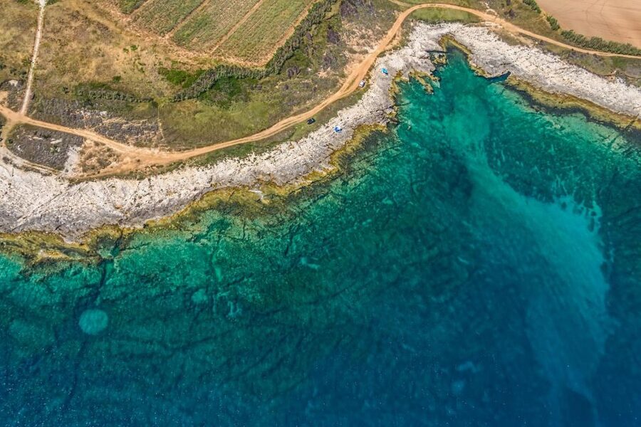 Fazana: Brijuni National Park Scenic Boat Tour - Key Highlights at a Glance