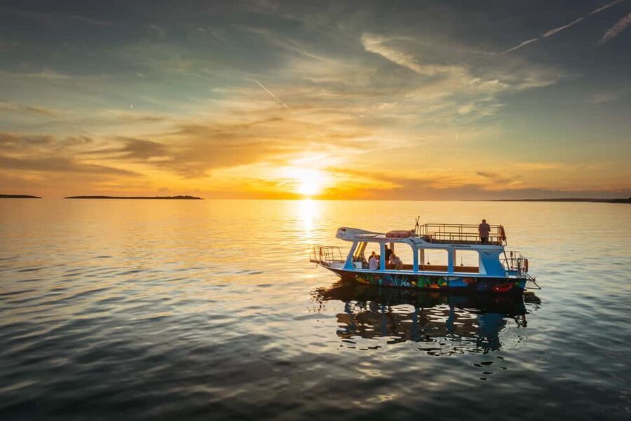 FAŽANA: DOLPHIN SAFARI - Who this dolphin safari suits best