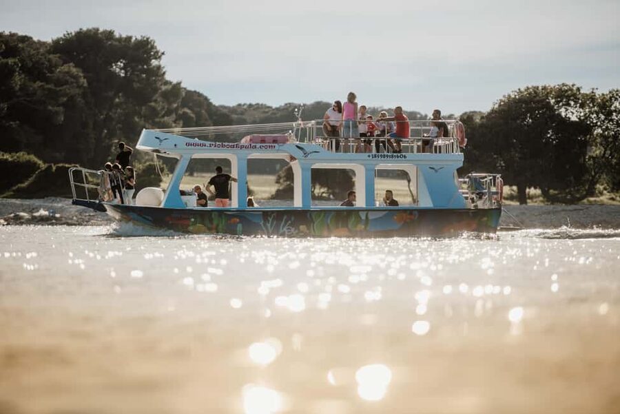 FAŽANA: DOLPHIN SAFARI - Price and value: is $41 for 2 hours a good deal?