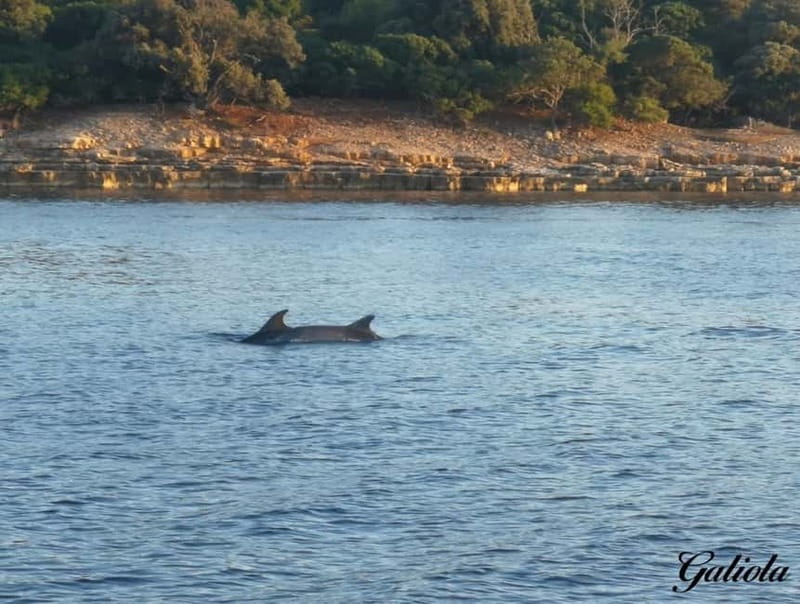 Fazana: Dolphin/Sunset Tour - Sunset on a Boat: The Part That Changes Everything