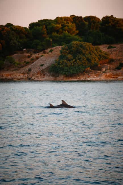 Fazana: Dolphin/Sunset Tour - Price and Value: Is $41 a Fair Deal?