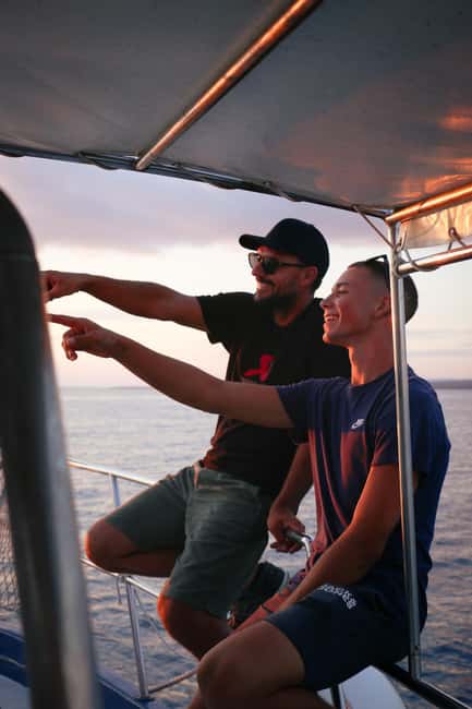 Fazana: Dolphin/Sunset Tour - Why the Brijuni Archipelago Improves Your Chances