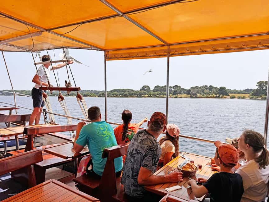 Fazana: Eco Friendly Brijuni Dolphins with Dinner & Drinks - Key things to know before you go